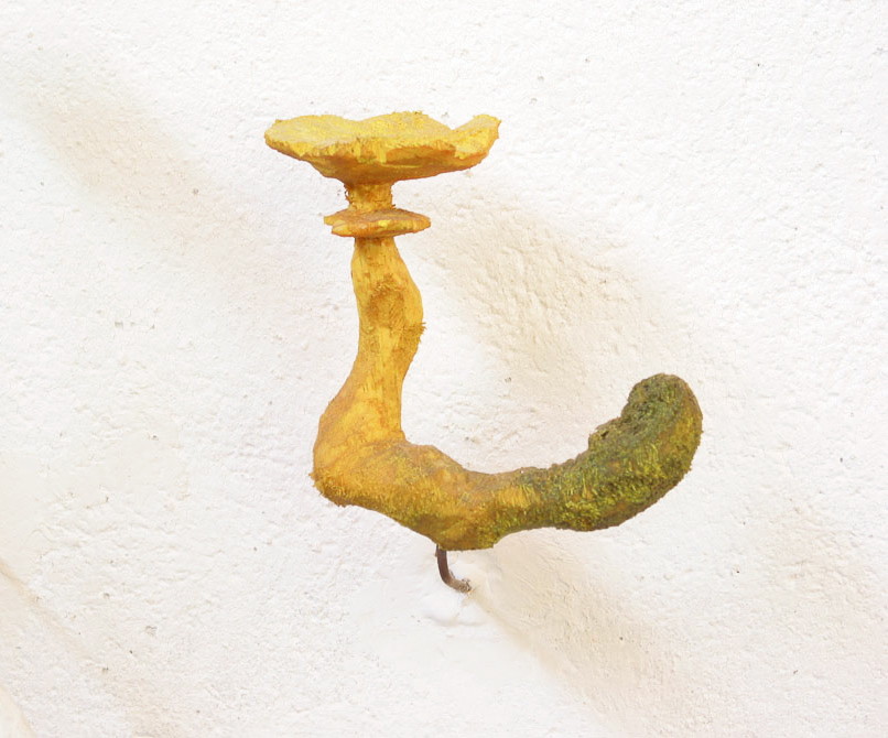 fungo-giallo