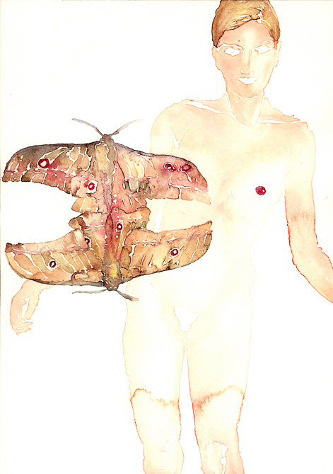 accoppiamento-farfalle-nudo