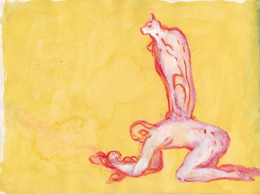 amanti-gatto