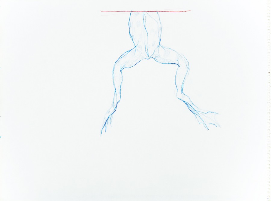 carte-rane2