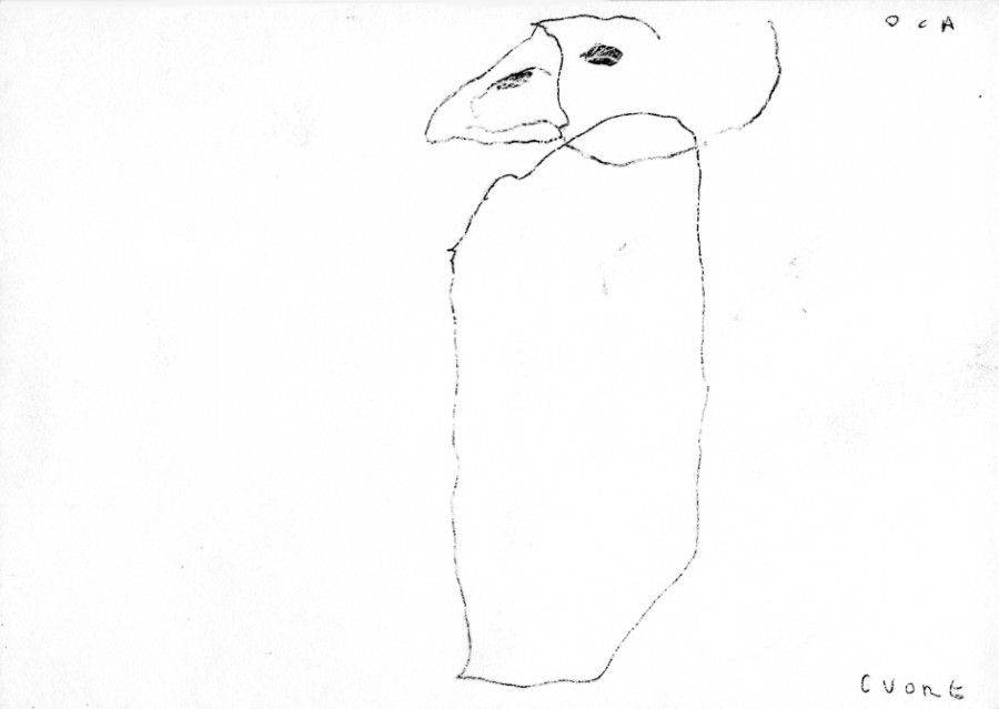 dis3-900x639