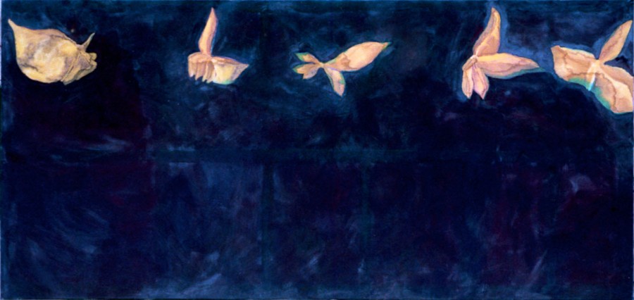 fiori-anice