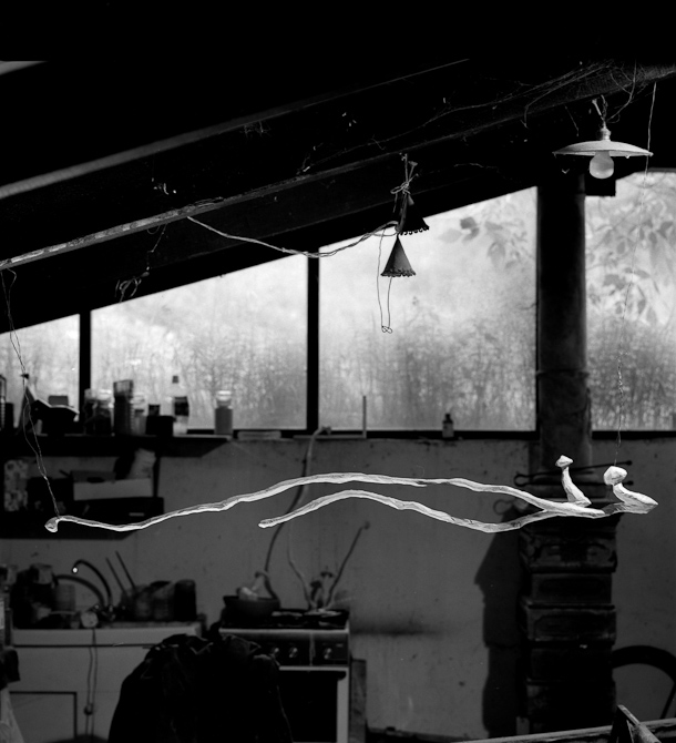 funghi-studio