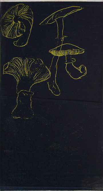 funghi