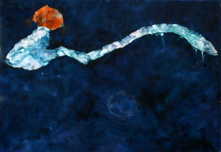 fungo-psichedelico-3