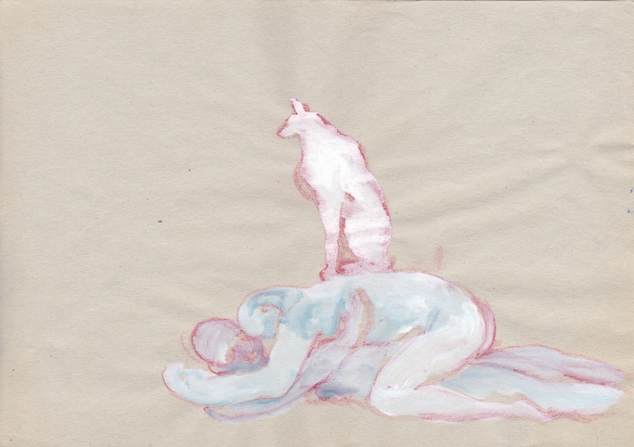 gatto-amanti-2
