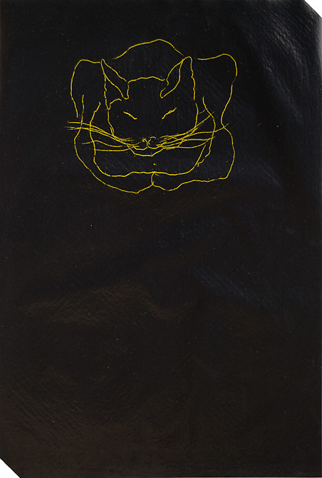 gatto-baffi