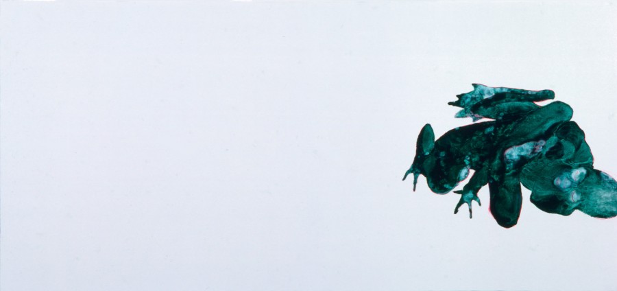 neonata-rana