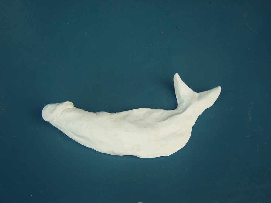 penepesce-2