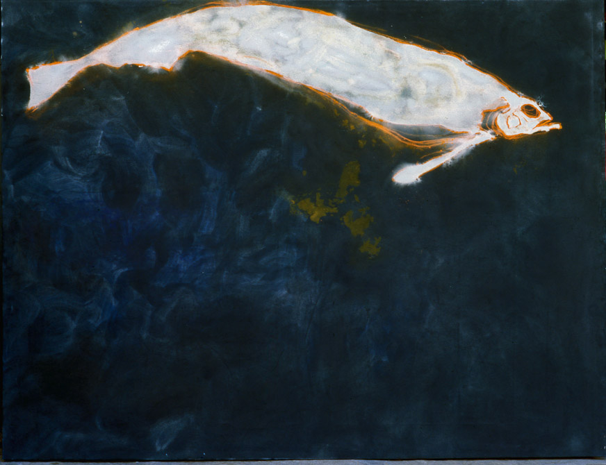 pesce-3