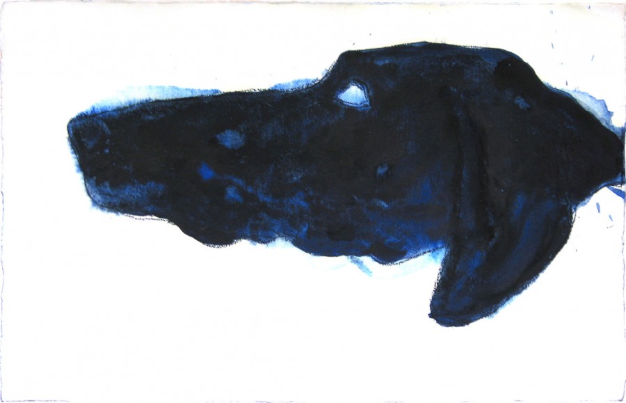 testa-cane-2