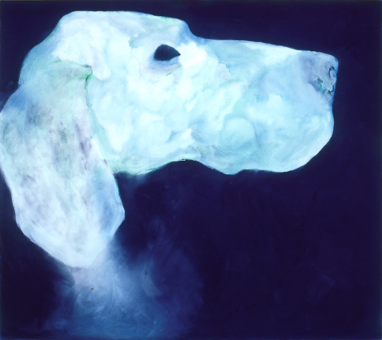 testa-cane-5