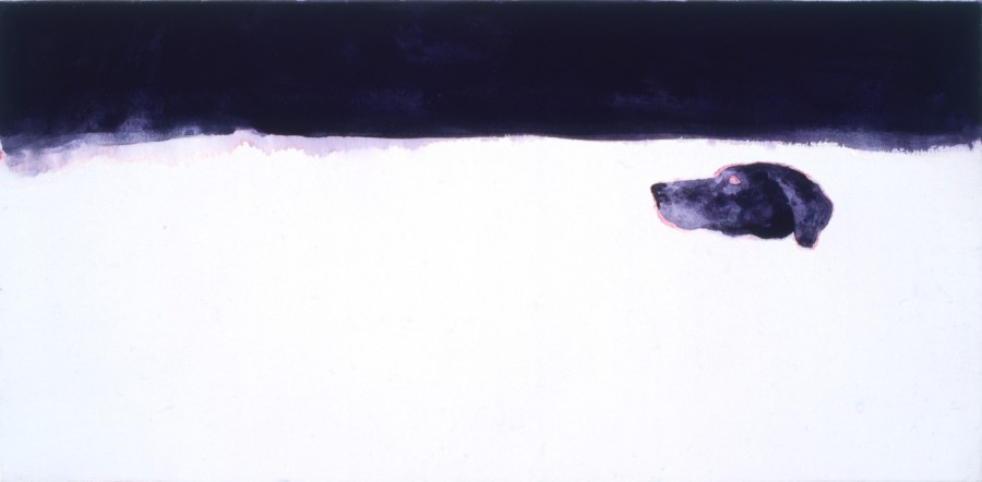testa-cane-orizzonte