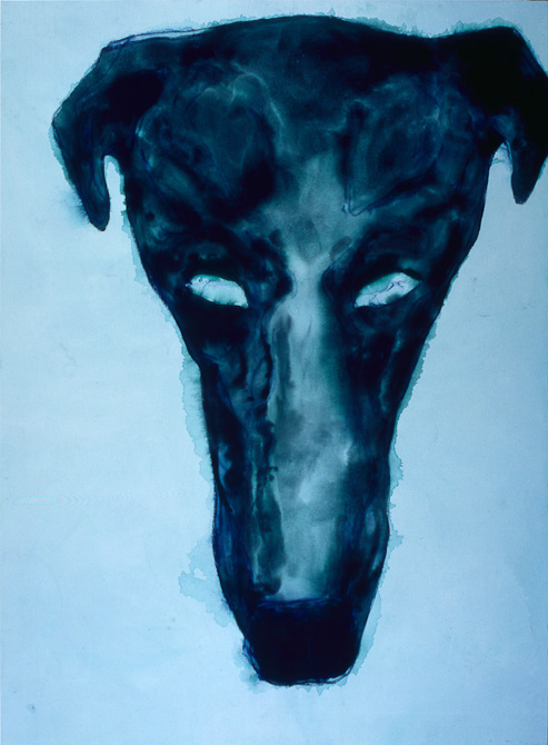 testa-cane-8
