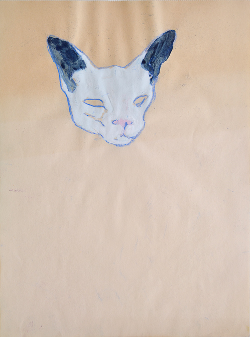 testa-gatto-3