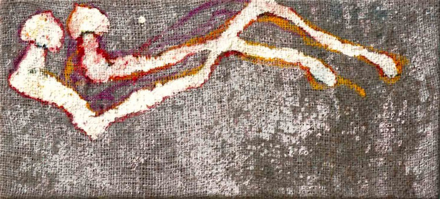 funghetti-2-900x407