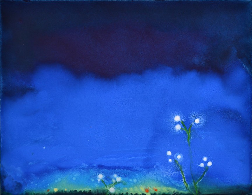 fiori-bianchi-whitflowers