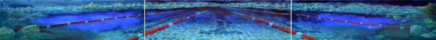 nuoto libero leggera copia